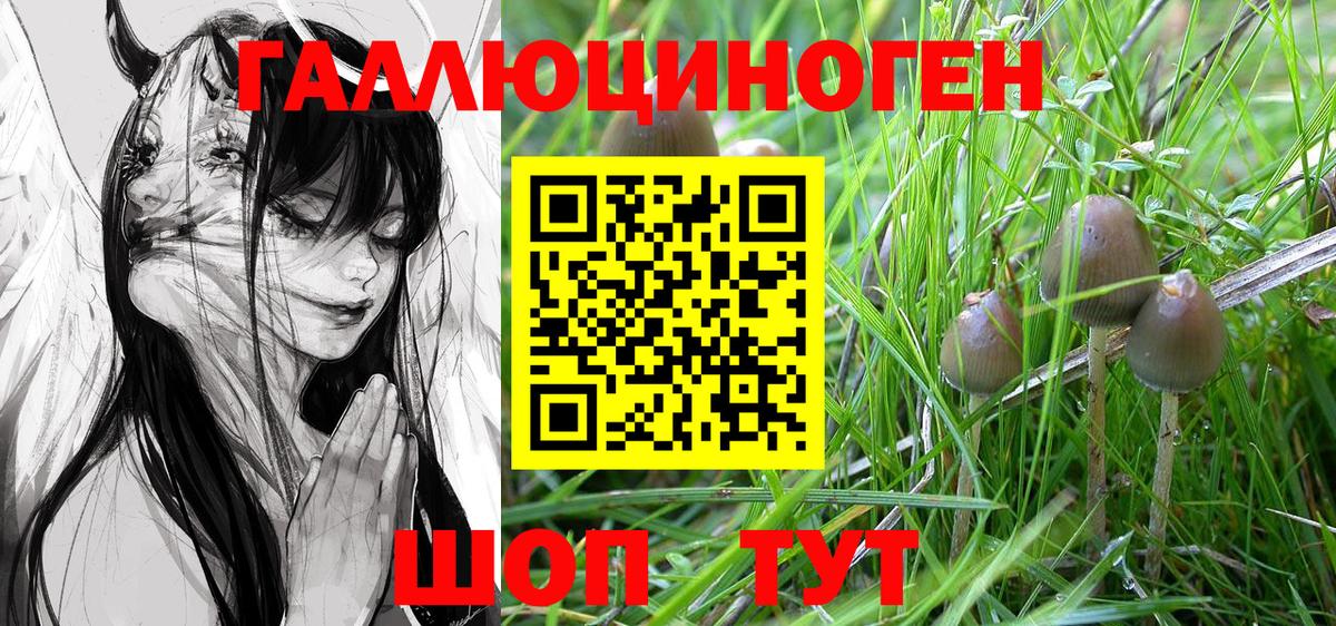 Псилоцибиновые грибы Magic Shrooms  Вход с VPN  Галлюциногенные грибы GOLDEN TEACHER  Клинцы 