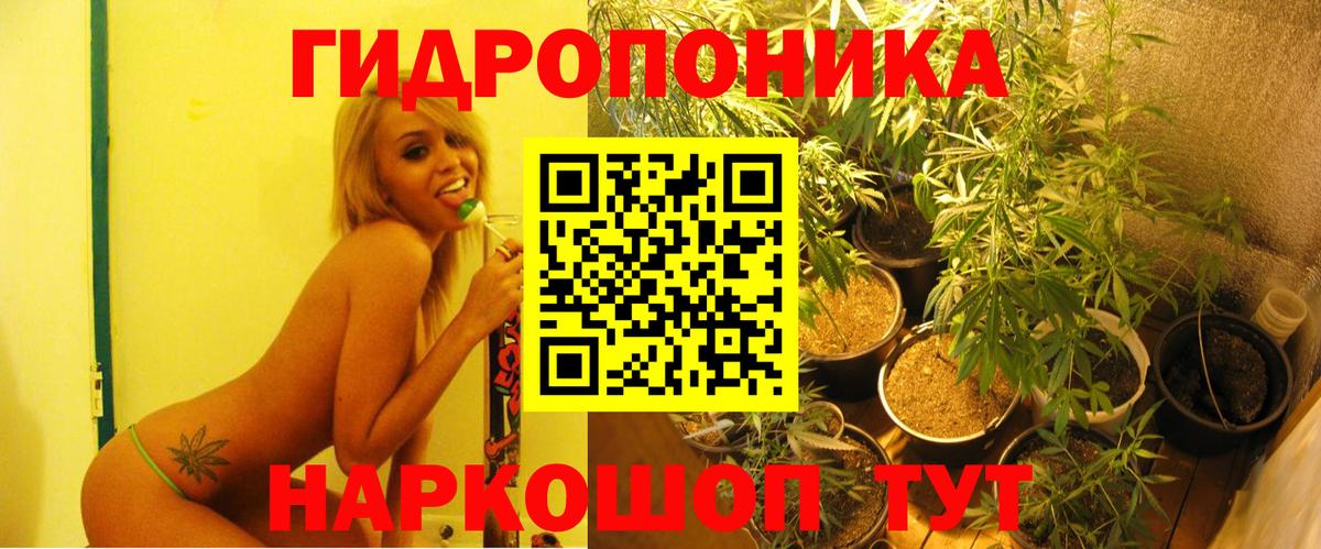 Бошки марихуана THC 21%  Вход с VPN  Бошки марихуана семена  Каннабис сатива  Каннабис тримм  Клинцы 